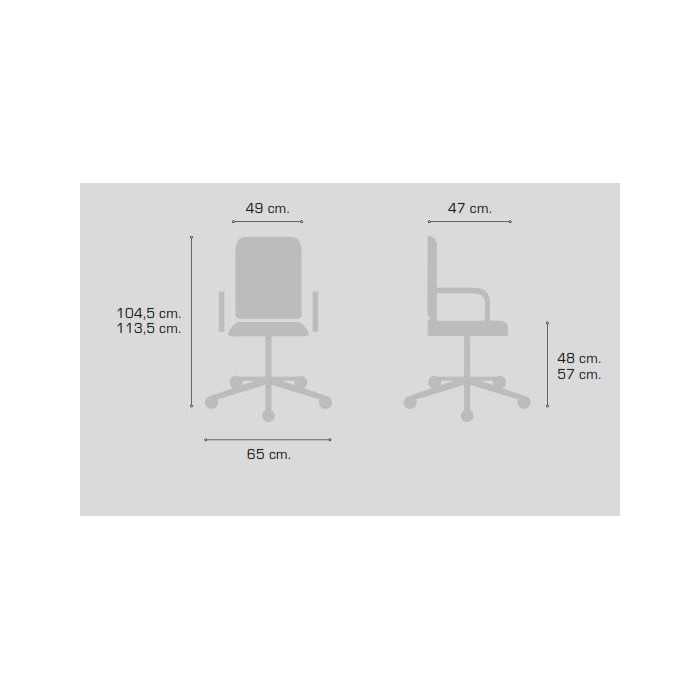 Silla de oficina CAMI 1, respaldo malla, con brazos, base poliamida