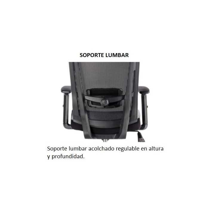 Silla de oficina ergonómica SOFIA de Euromof, cabecero y brazos regulables