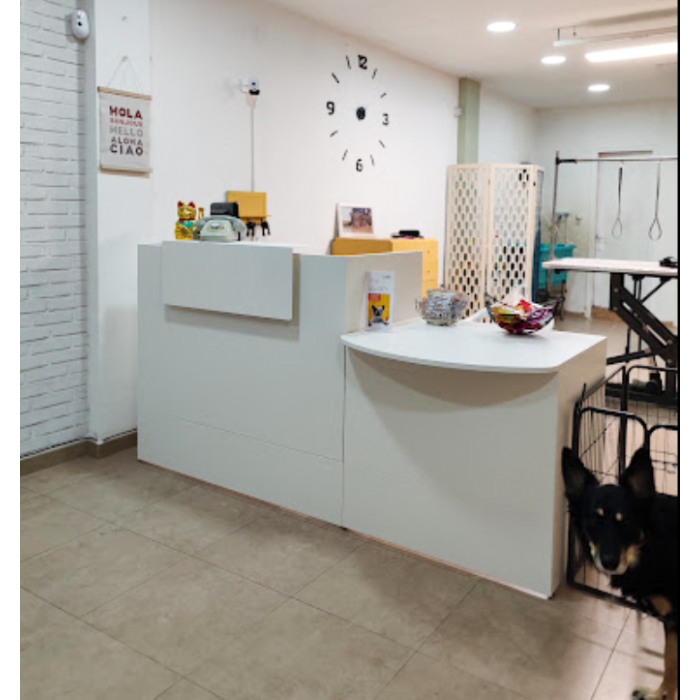 Mostrador recepción MOBI 200 cm, blanco, sobremostrador y zócalo blanco