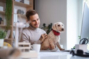 Young businessman with dog sitting at the desk indoors in office, using computer